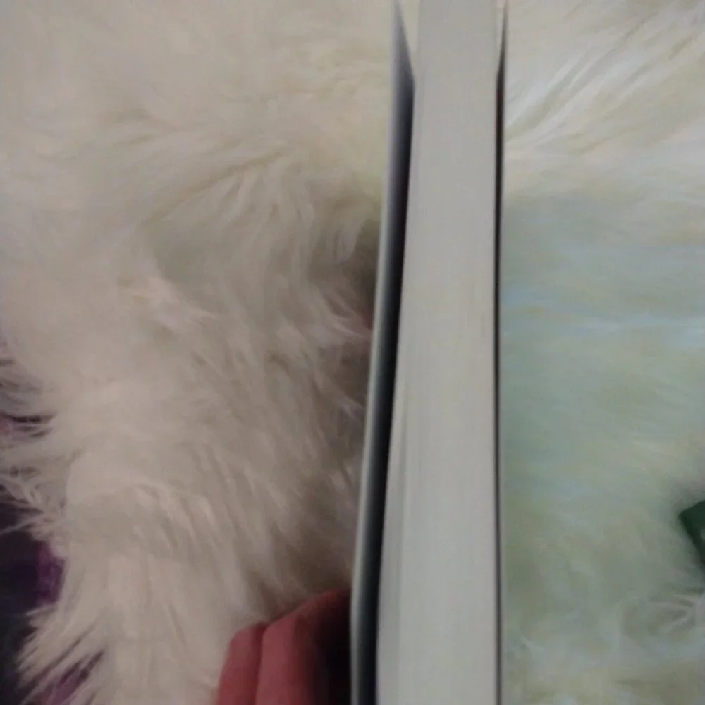 No Mercy Book by Preston Gillham New - Picture 5 of 5